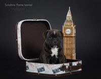 /album/shhenki/basya-4-jpg/